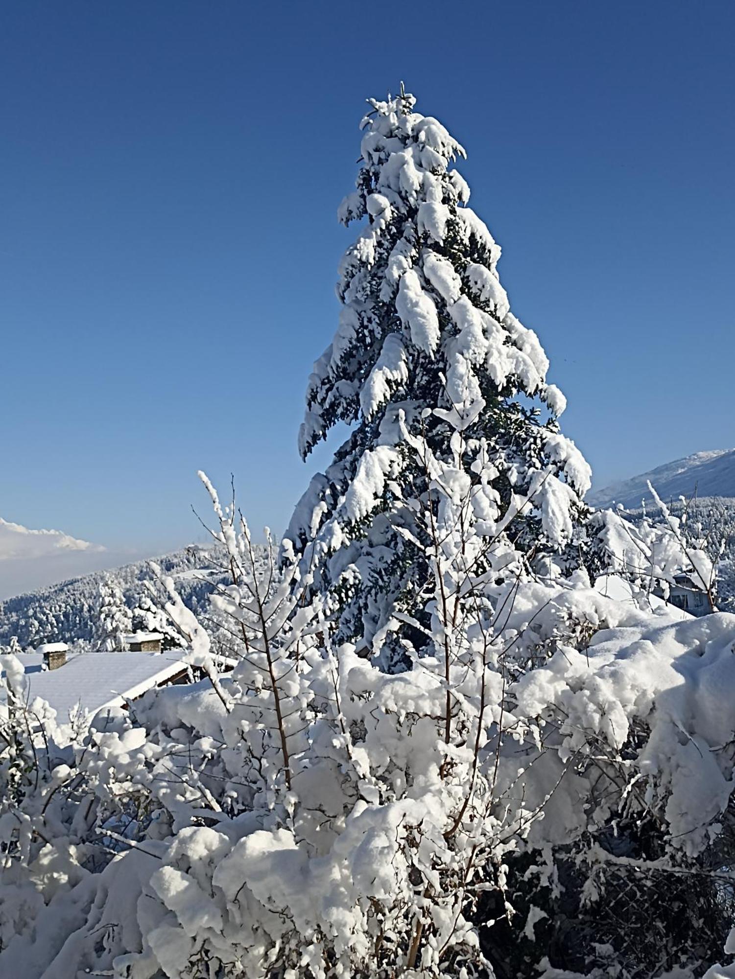 Gaestehaus Alpenblick Mutters Екстериор снимка